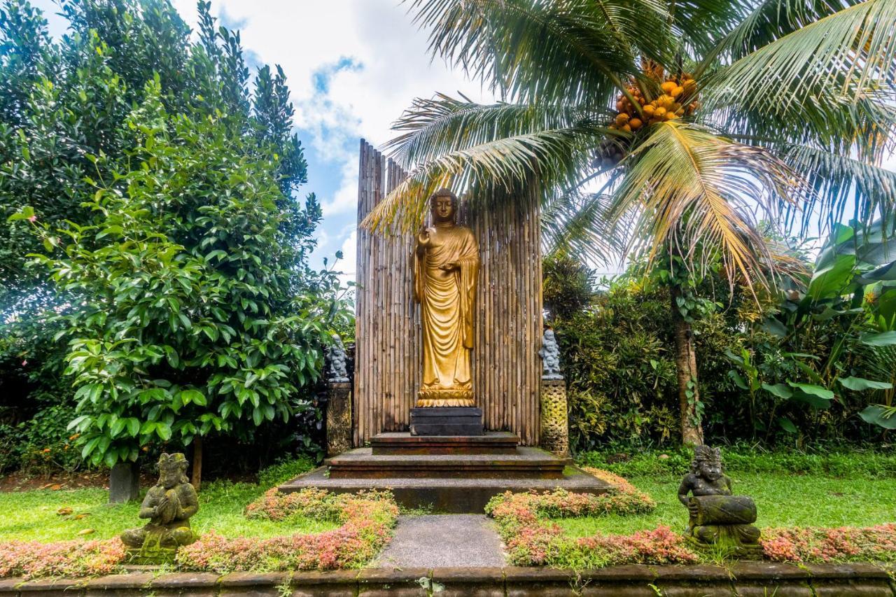 Asli Bali Villa Bangli Esterno foto